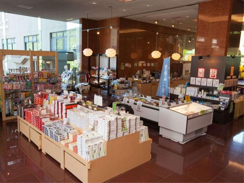 酒店 天使格昂迪亚艾格纳卡兹艾拓酒店 4*